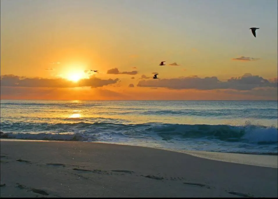 Amazing Beachfront Apartment Cancun 0*,